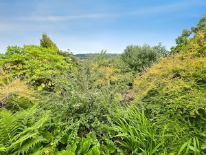 Garden- click for photo gallery